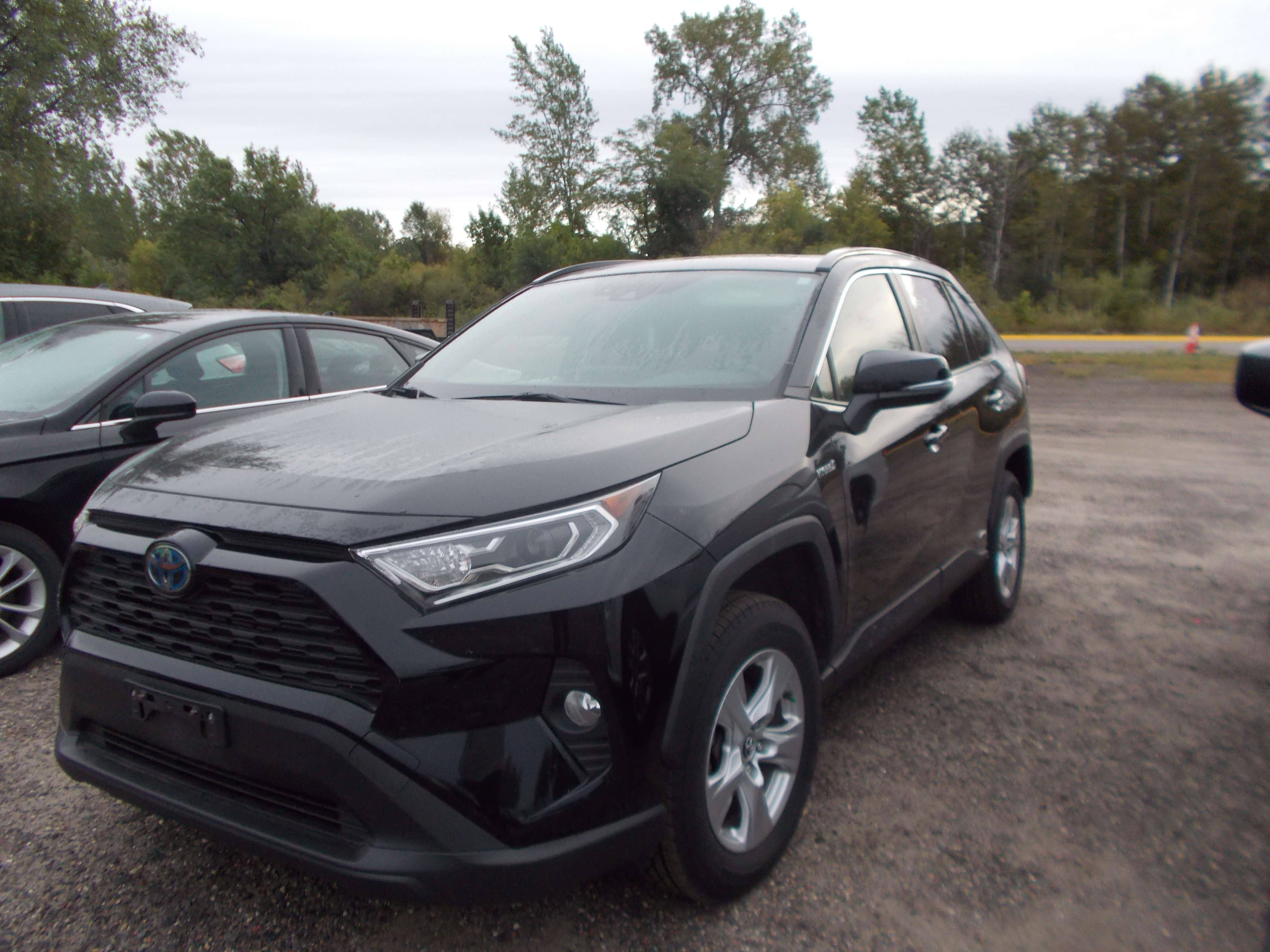 2019 TOYOTA RAV4 HYBRID XLE