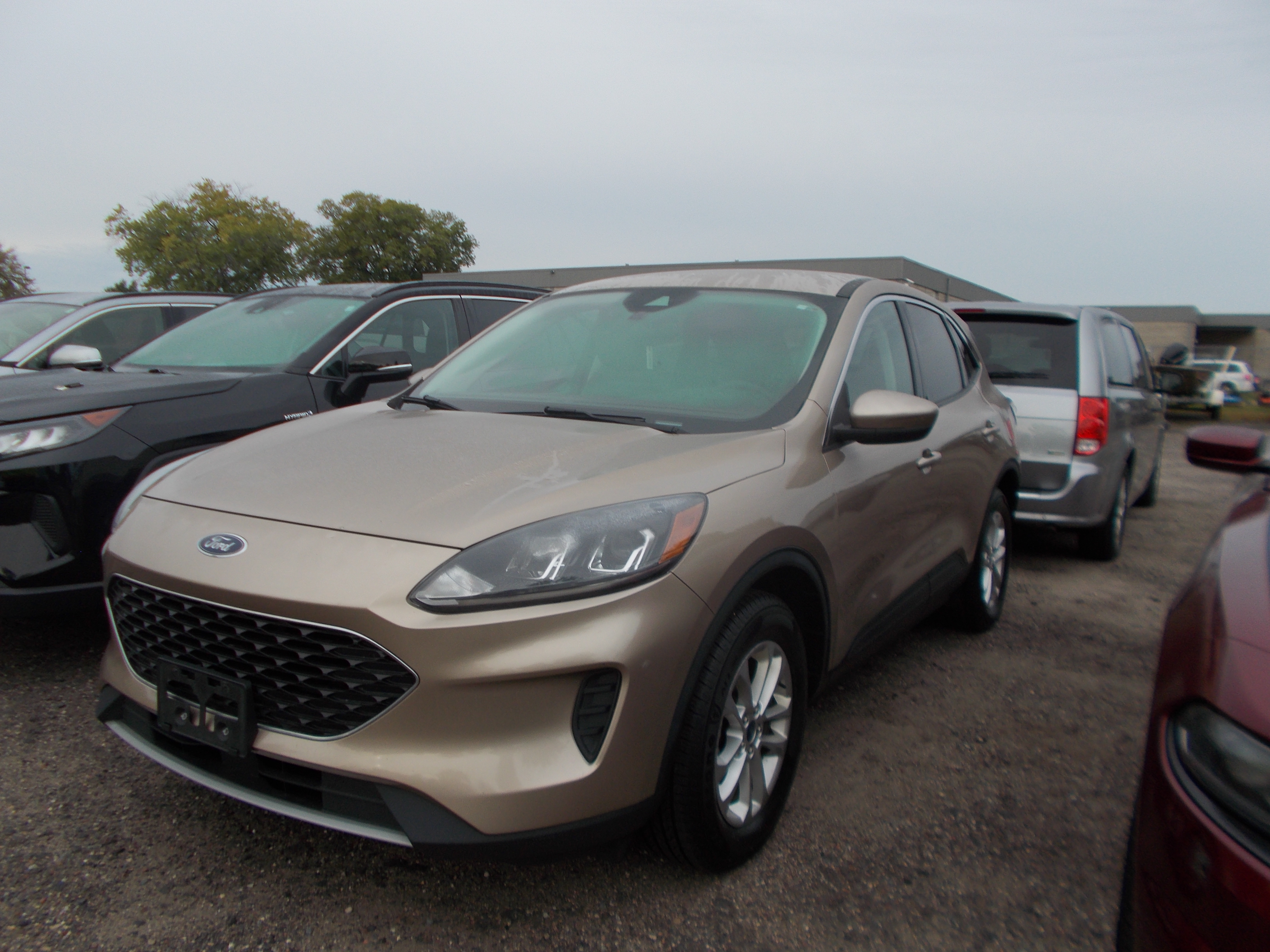 2021 FORD ESCAPE SE