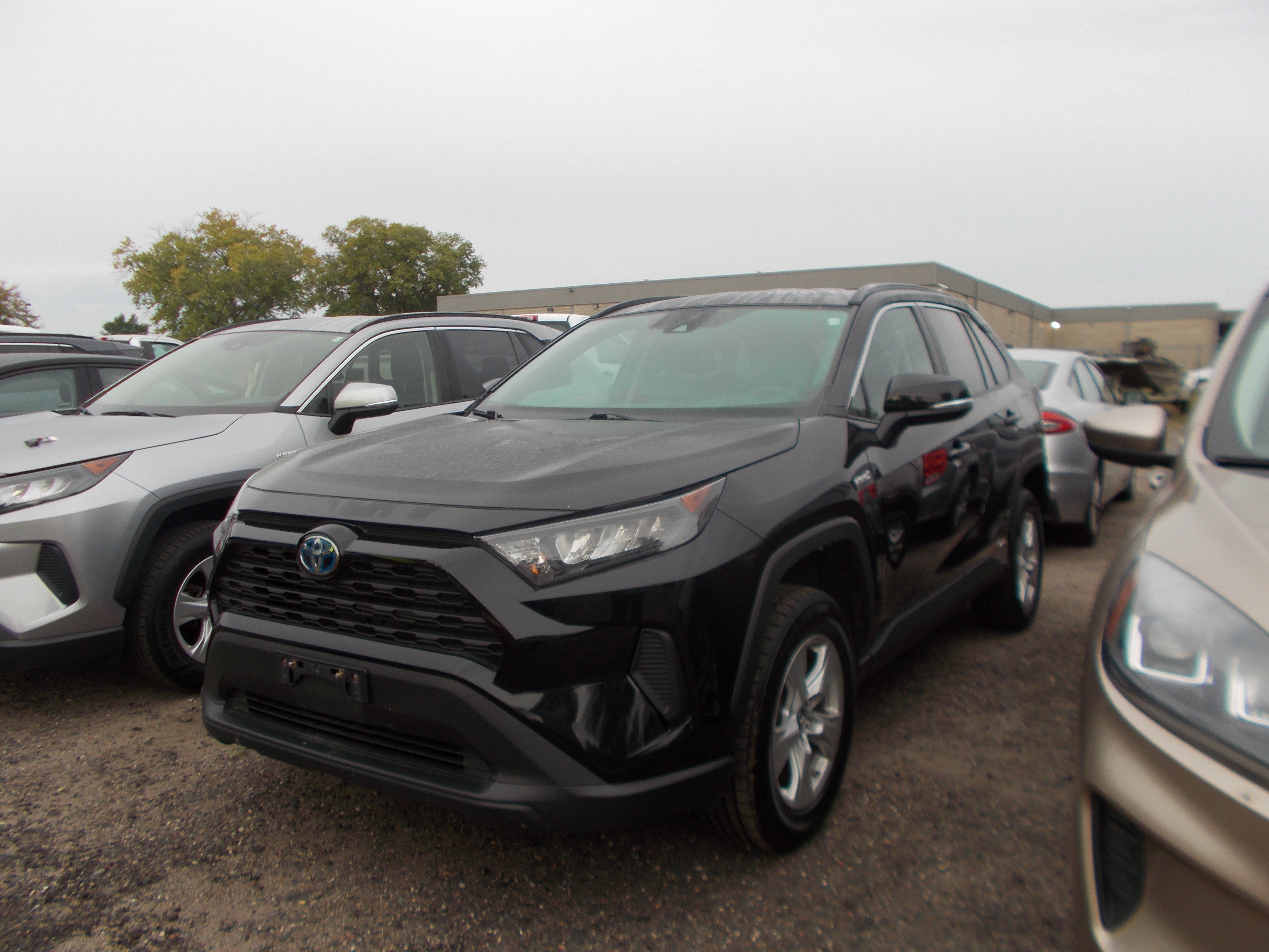 2019 TOYOTA RAV4 HYBRID LE