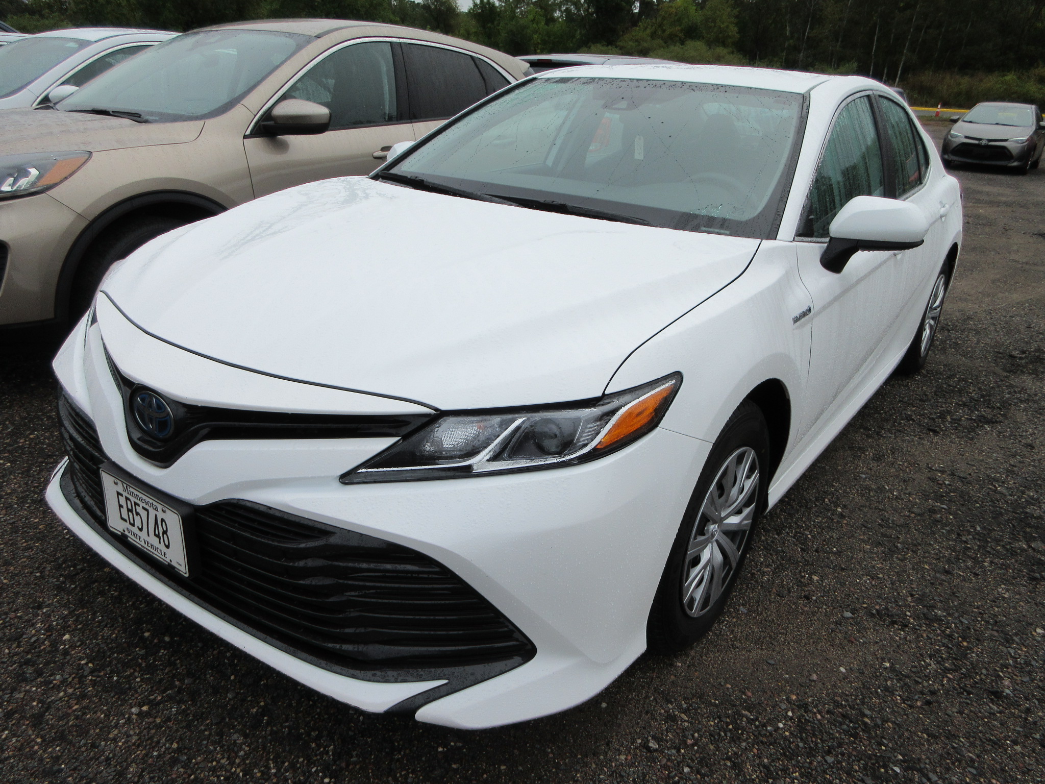 2019 TOYOTA CAMRY HYBRID LE