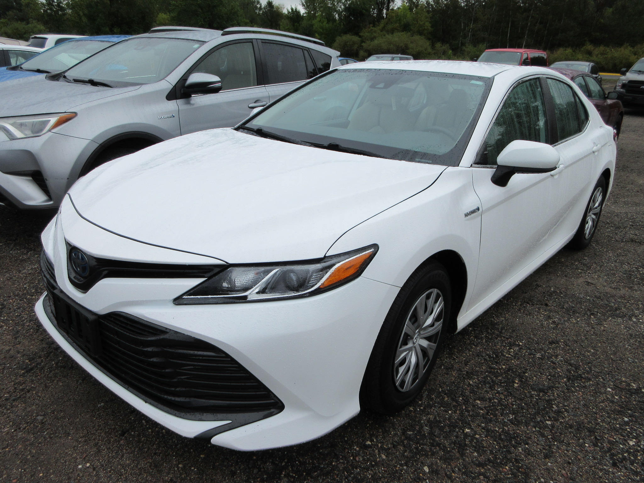 2019 TOYOTA CAMRY HYBRID LE